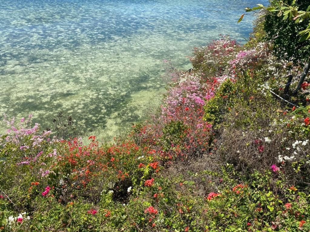 Tahanan Resort سان خوان المظهر الخارجي الصورة